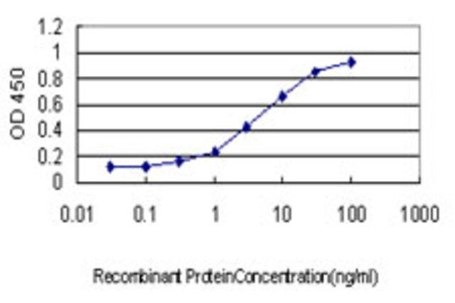 Monoclonal Anti-YWHAG antibody produced in mouse