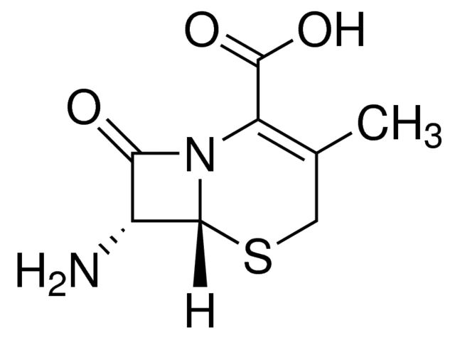 Cefadroxil Related Compound B