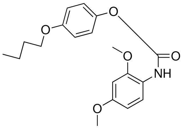 4-BUTOXYPHENYL N-(2,4-DIMETHOXYPHENYL)CARBAMATE