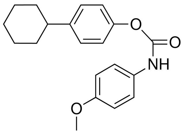 4-CYCLOHEXYLPHENYL N-(4-METHOXYPHENYL)CARBAMATE