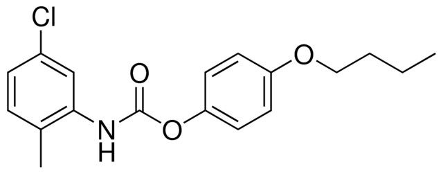 4-BUTOXYPHENYL N-(5-CHLORO-2-METHYLPHENYL)CARBAMATE