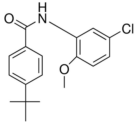 4-TERT-BUTYL-N-(5-CHLORO-2-METHOXYPHENYL)BENZAMIDE