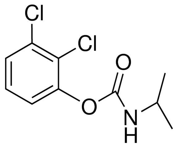 2,3-DICHLOROPHENYL N-ISOPROPYLCARBAMATE