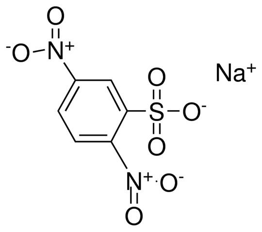 2,5-DINITROBENZENESULFONIC ACID, SODIUM SALT