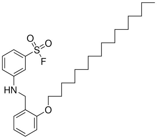 3-(2-(HEXADECYLOXY)-BENZYLAMINO)-BENZENESULFONYL FLUORIDE