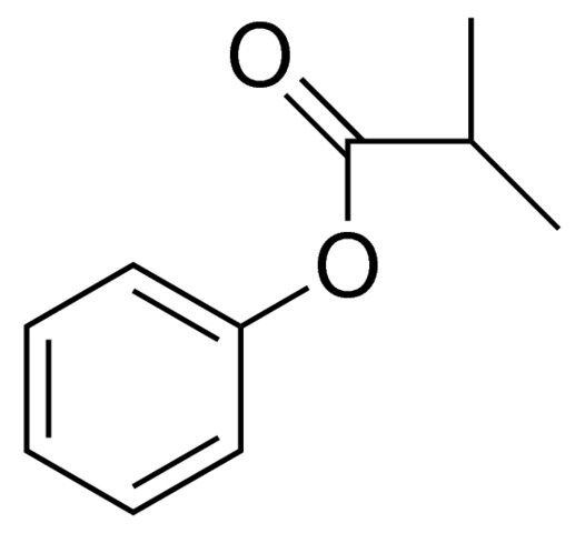 Phenyl Isobutyrate