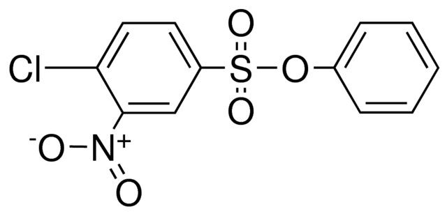 PHENYL 4-CHLORO-3-NITROBENZENESULFONATE