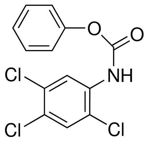 PHENYL N-(2,4,5-TRICHLOROPHENYL)CARBAMATE