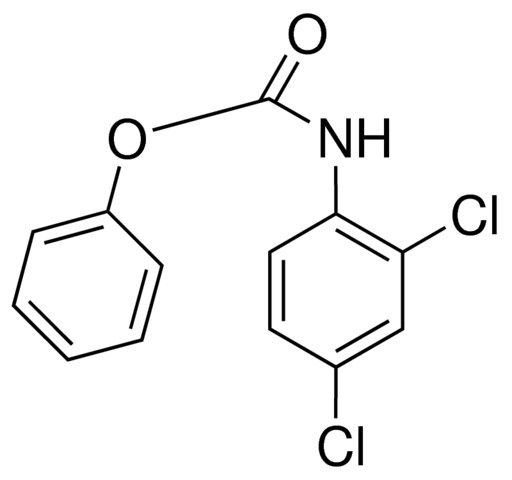 PHENYL N-(2,4-DICHLOROPHENYL)CARBAMATE