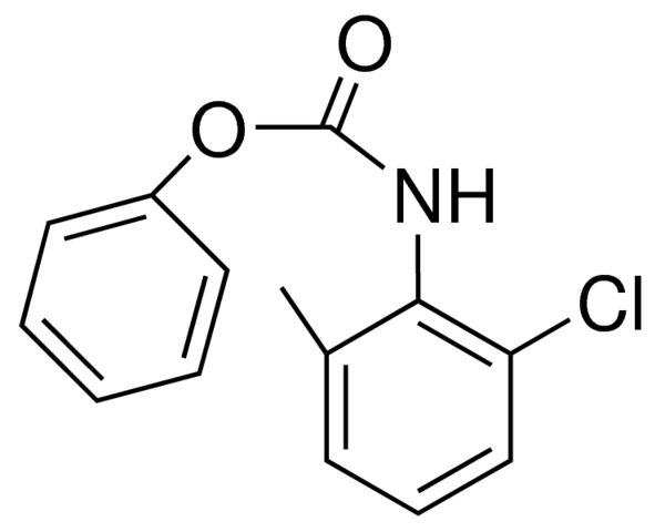 PHENYL N-(2-CHLORO-6-METHYLPHENYL)CARBAMATE