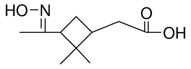 PINONIC ACID OXIME