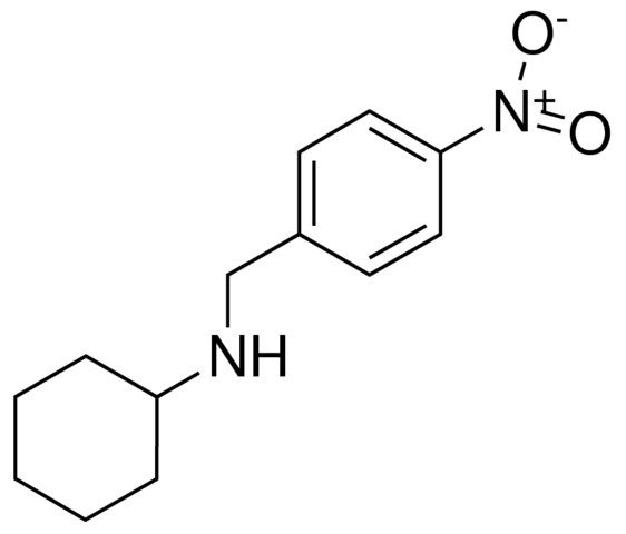 CYCLOHEXYL (4-NITROBENZYL)AMINE