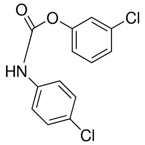 3-CHLOROPHENYL N-(4-CHLOROPHENYL)CARBAMATE