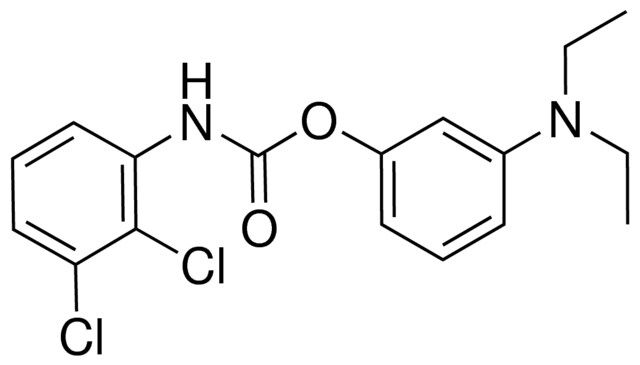 3-DIETHYLAMINOPHENYL N-(2,3-DICHLOROPHENYL)CARBAMATE