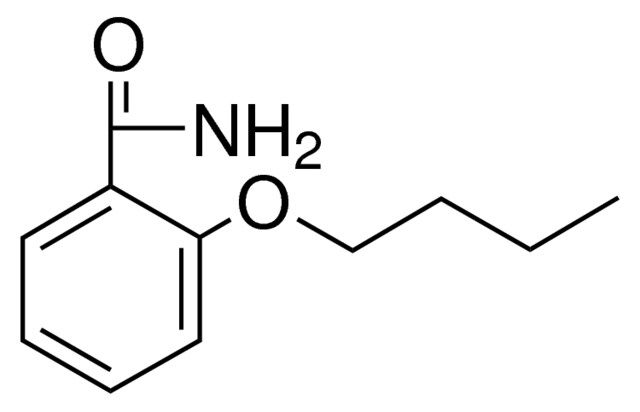 2-BUTOXYBENZAMIDE