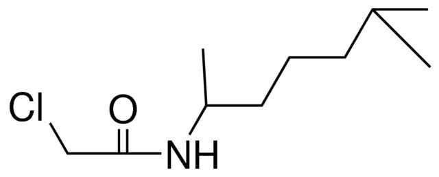 2-CHLORO-N-(1,5-DIMETHYLHEXYL)-ACETAMIDE