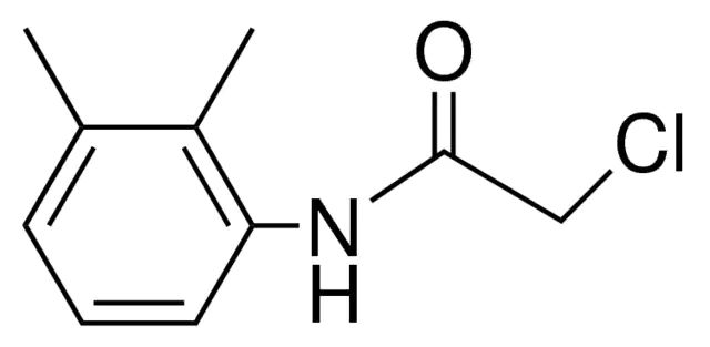 2-CHLORO-N-(2,3-DIMETHYL-PHENYL)-ACETAMIDE