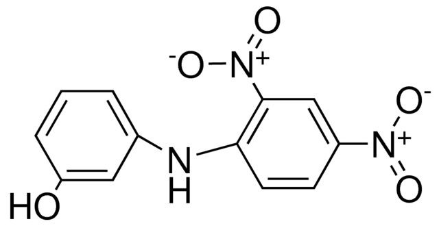 3-(2,4-DINITROANILINO)PHENOL