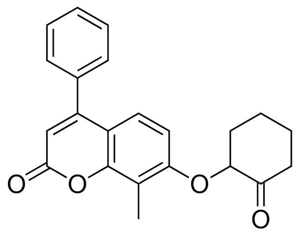 8-METHYL-7-(2-OXO-CYCLOHEXYLOXY)-4-PHENYL-CHROMEN-2-ONE