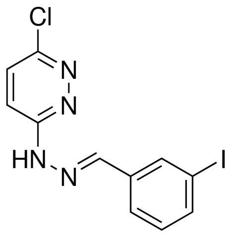 N-(6-CHLORO-PYRIDAZIN-3-YL)-N'-(3-IODO-BENZYLIDENE)-HYDRAZINE