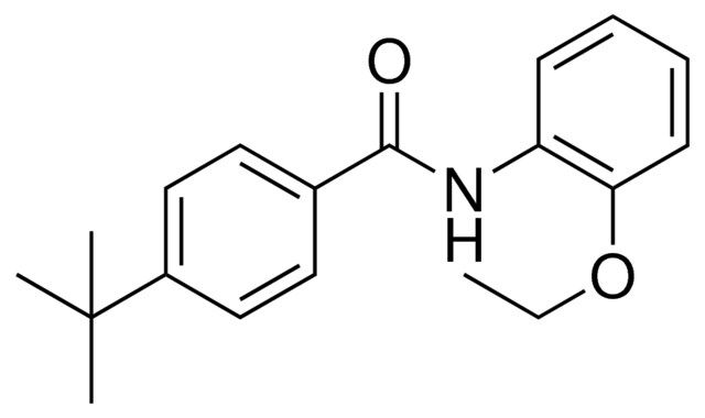 4-TERT-BUTYL-N-(2-ETHOXYPHENYL)BENZAMIDE