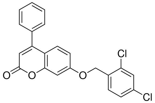 7-(2,4-DICHLORO-BENZYLOXY)-4-PHENYL-CHROMEN-2-ONE