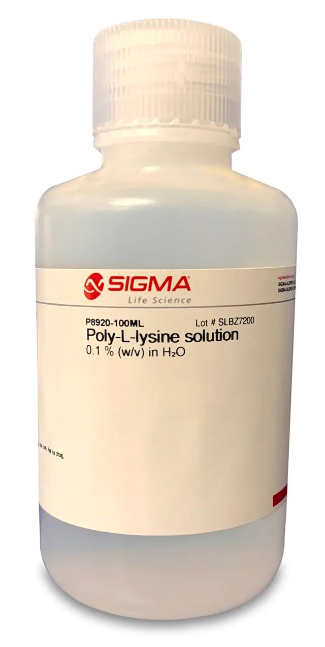 Poly-<sc>L</sc>-lysine solution