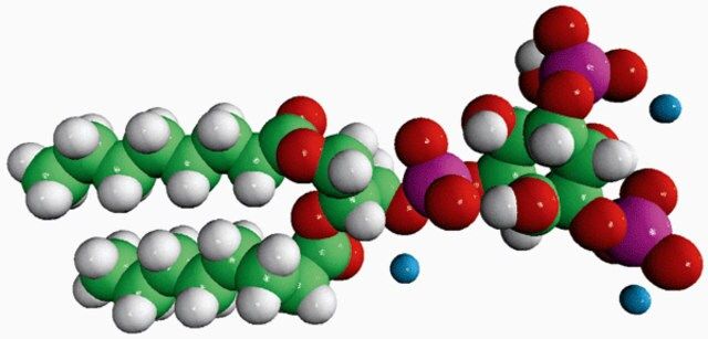 08:0 PI(3,5)P2