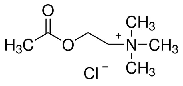 Acetylcholine Chloride