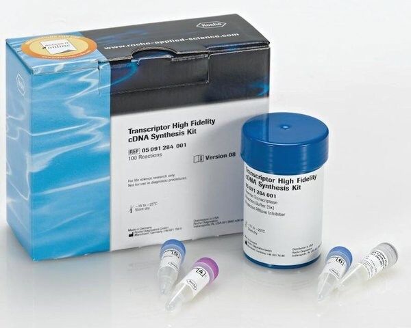 Transcriptor High Fidelity cDNA Synthesis Kit