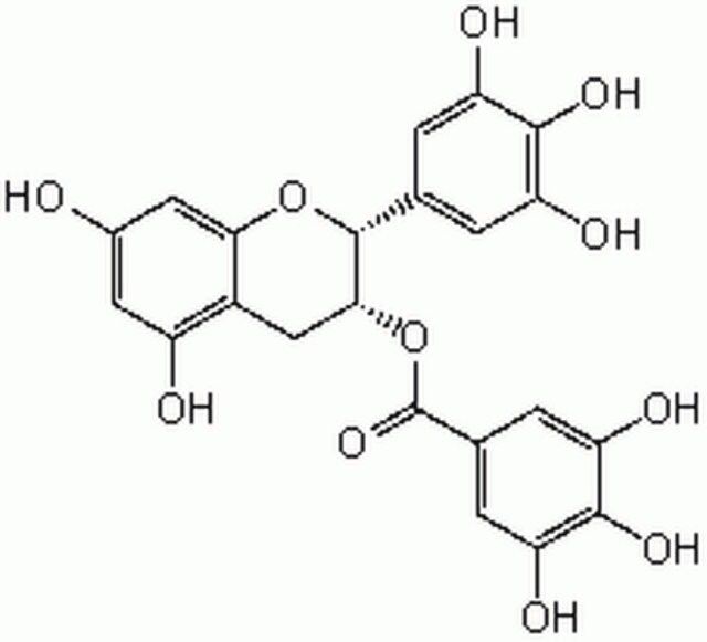 (C)-Epigallocatechin Gallate-CAS 989-51-5-Calbiochem