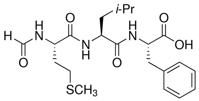 N-Formyl-Met-Leu-Phe