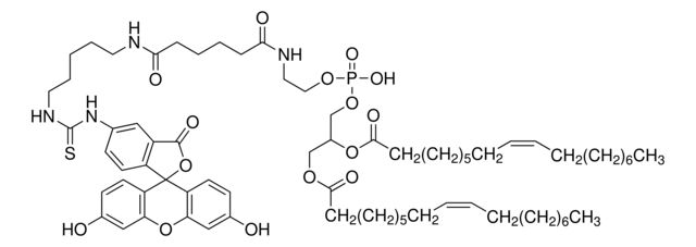 FSL-Fluorescein