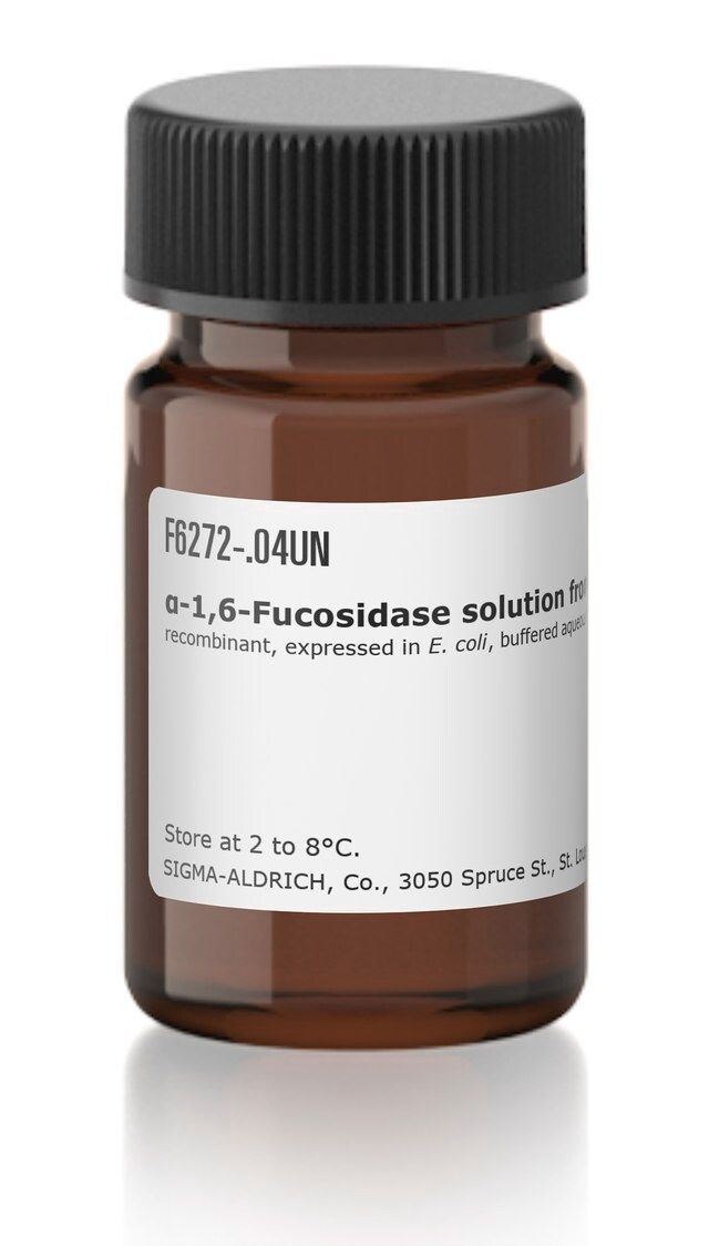 -1,6-Fucosidase solution from <i>Elizabethkingia miricola</i>