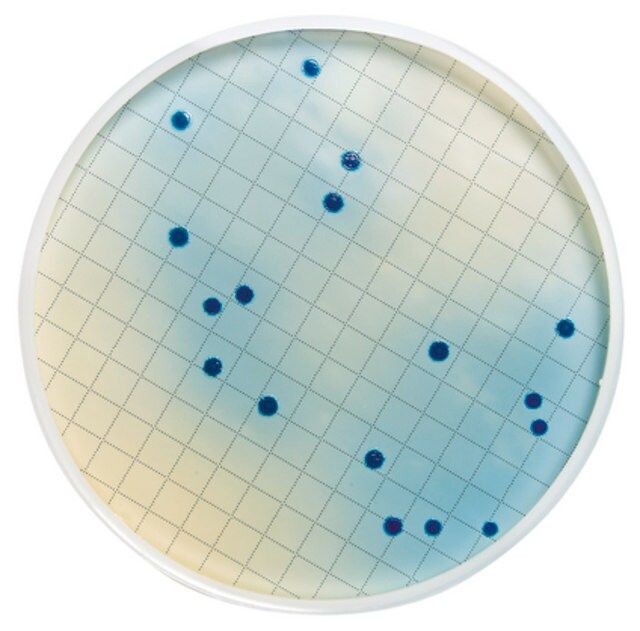 m-FC Broth (Dehydrated) without Rosolic Acid