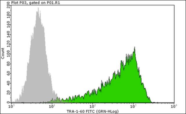 Anti-TRA-1-60 Antibody, clone TRA-1-60, FITC conjugate