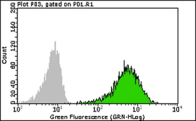 Milli-Mark<sup>®</sup> Anti-TRA-2-49 Antibody, clone TRA-2-49/6E, FITC Conjugate