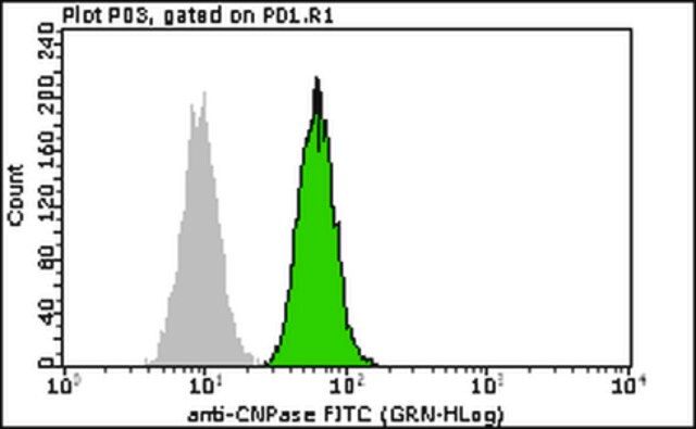 Milli-Mark Anti-CNPase-FITC Antibody, clone 11-5B