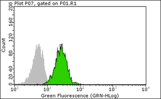 Anti-HU-B27 Antibody, FITC conjugated