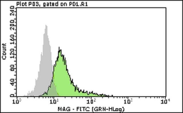 Milli-Mark<sup>®</sup> Anti-Myelin Associated Glycoprotein-FITC Antibody, clone 513