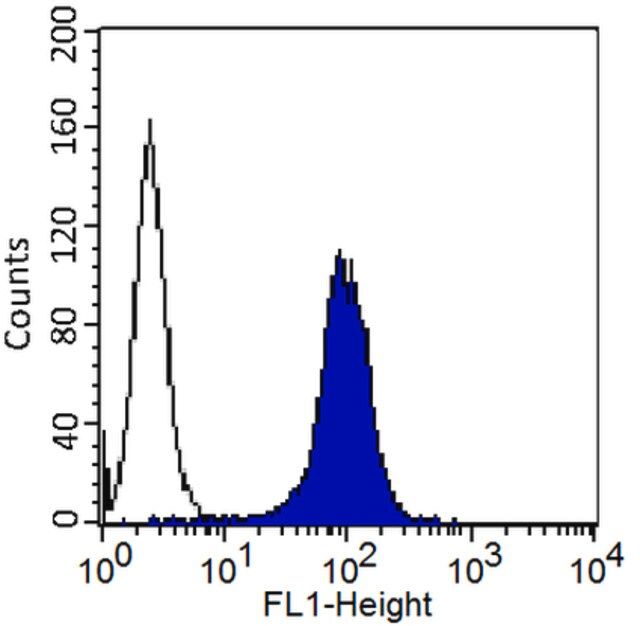 Anti-MCAM Antibody, clone P1H12, FITC conjugated