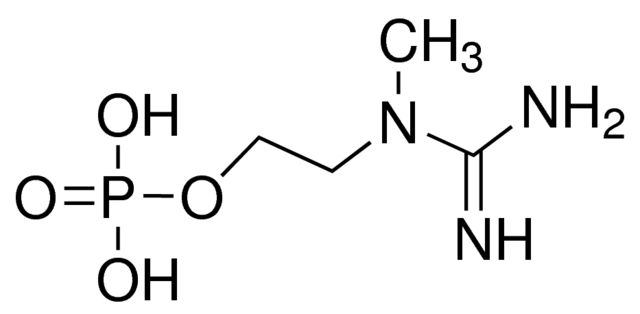 2-[[Amino(imino)methyl](methyl)amino]ethyl dihydrogen phosphate