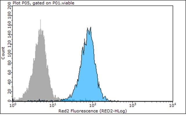 Anti-E-Cadherin Antibody, clone 67A4, Azide &Ascites Free