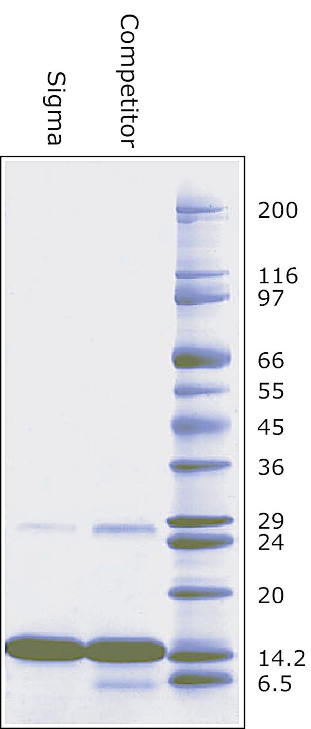 Cytochrome c from equine heart