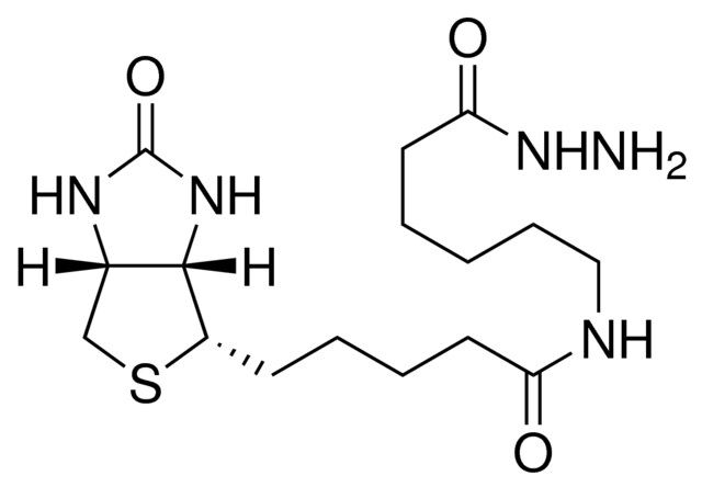 (+)-Biotinamidohexanoic acid hydrazide