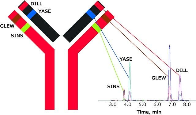 SILu<sup>TM</sup>MAb Infliximab Stable-Isotope Labeled Monoclonal Antibody