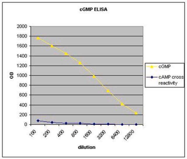 Anti-cGMP (cyclic GMP) Antibody