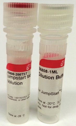 JumpStart<sup>TM</sup> Taq Antibody