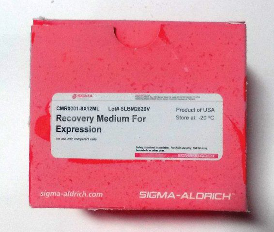 Recovery Medium for Expression