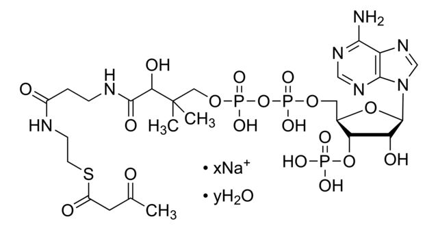 Acetoacetyl coenzyme A sodium salt hydrate